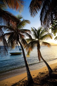 Don comparador Compara las Mejores playas del Mundo  Playa Aguadilla Puerto Rico